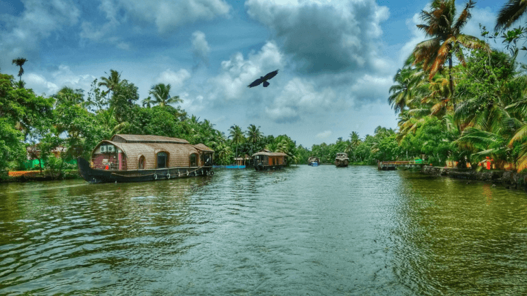 Read more about the article Kumbalangi Village: Kerala’s First Model Tourism Village