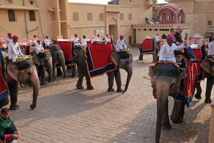 decorated-elephants.webp