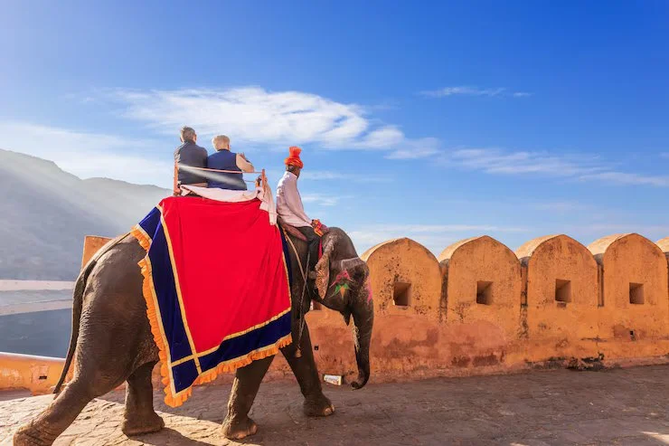riding-elephats.webp